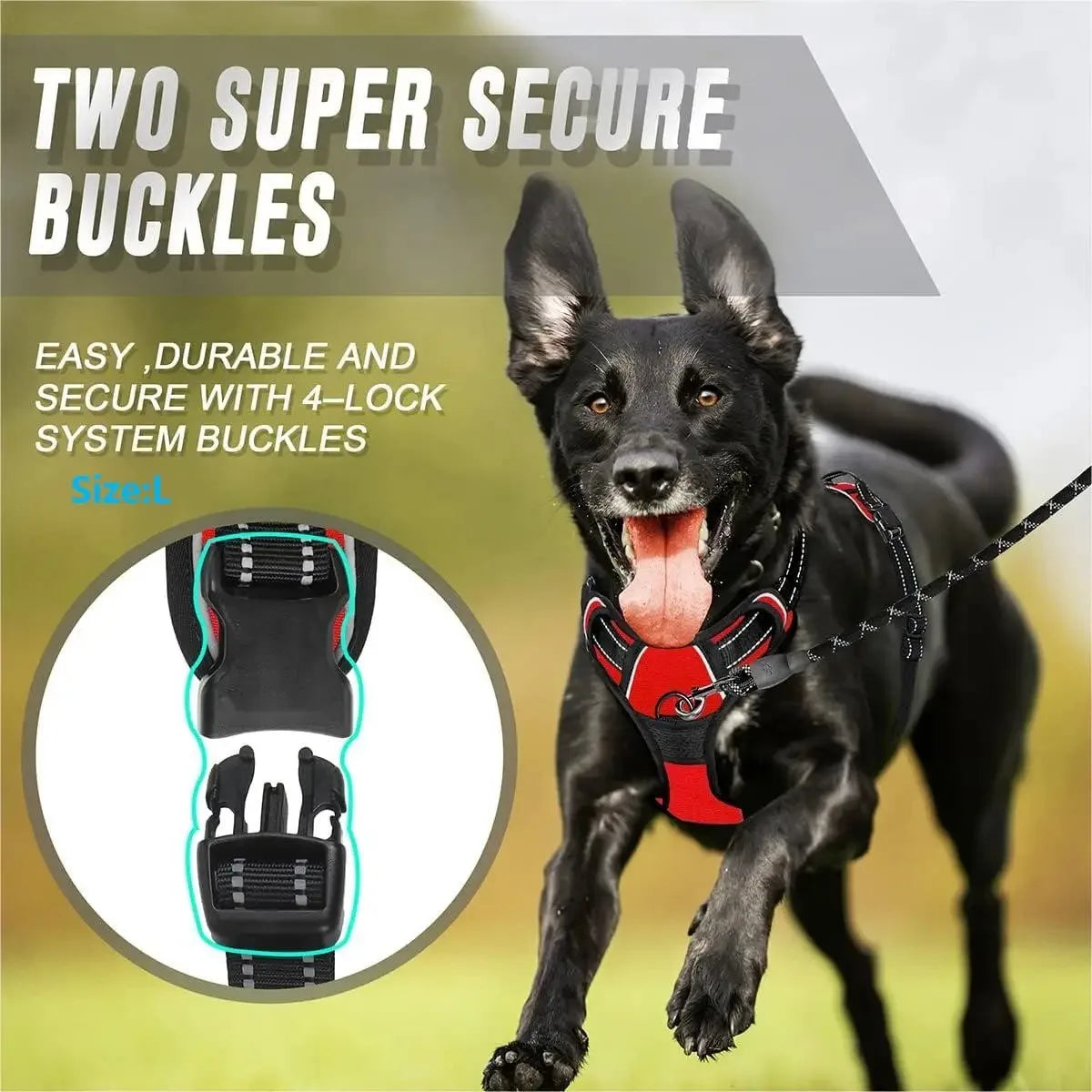 Comfortable Dog Harness Vest with Leash - PetAura