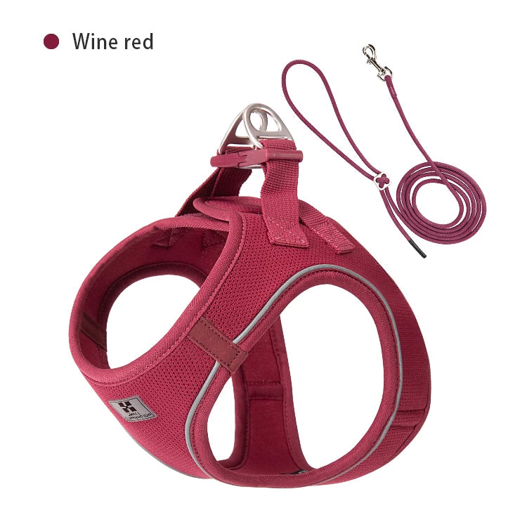 Adjustable Reflective Dog Harness Leash Set - PetAura