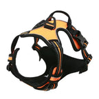 Comfortable Dog Harness Vest with Leash - PetAura