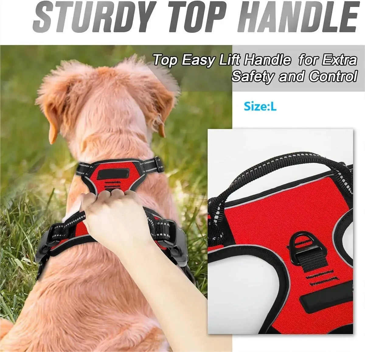 Comfortable Dog Harness Vest with Leash - PetAura