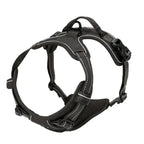Comfortable Dog Harness Vest with Leash - PetAura