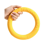 Chewproof Dog Ring Toy - PetAura